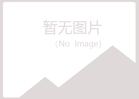 山东字迹服务有限公司